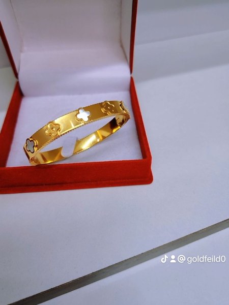 سوارة فانكليف